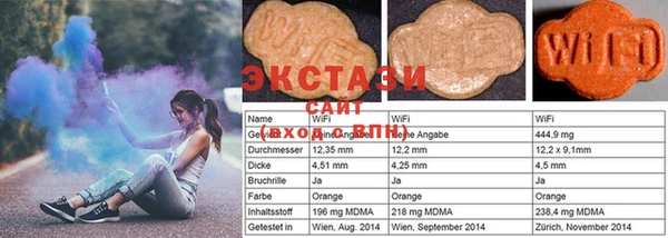 индика Богданович