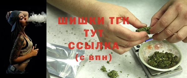 индика Богданович