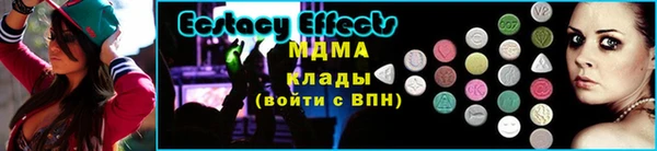 индика Богданович