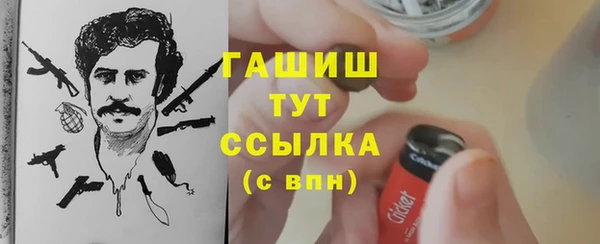 индика Богданович