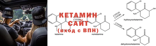 индика Богданович