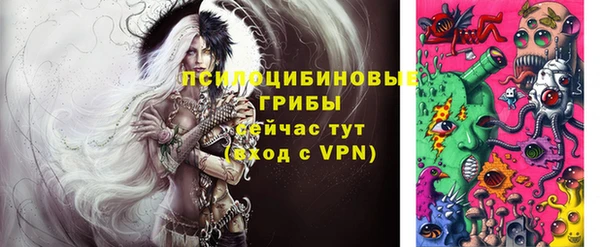 индика Богданович