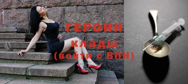 индика Богданович