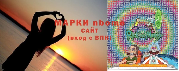 индика Богданович