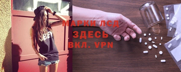 индика Богданович