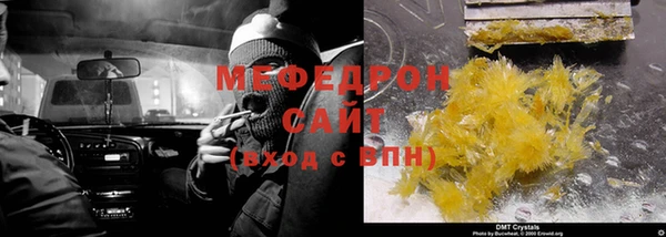 индика Богданович