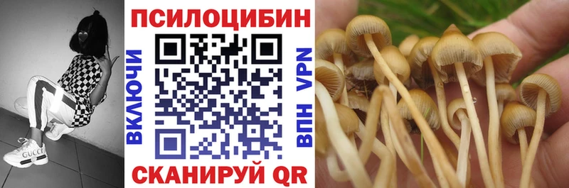 Псилоцибиновые грибы мухоморы  купить   ссылка на мегу онион  Стерлитамак 